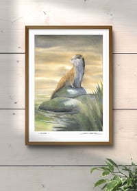 Image 2 of Loutre