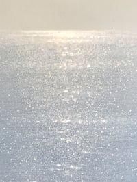 Image 4 of CALM