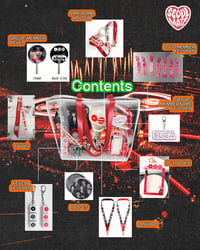 Image 2 of BTS Arirang Tour Concert Essential Items