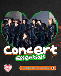 Image 1 of BTS Arirang Tour Concert Essential Items