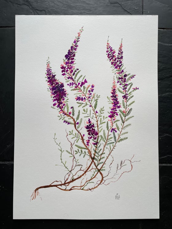 Image of Heather