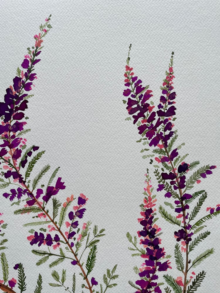 Image of Heather