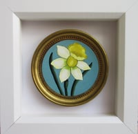 "Daffodil cameo"