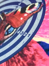 Image 3 of Original Oasis promo poster for the single “Falling Down”