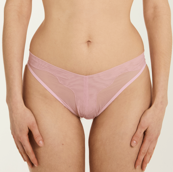 Image of Eclipse Brief