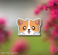 Corgi Peeker Sticker