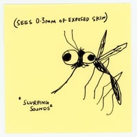 mosquito 