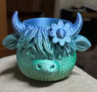 Image 5 of 3D Printed Highland Cow Succulent Planter | Cute Cow Plant Pot | Small Desk Planter 
