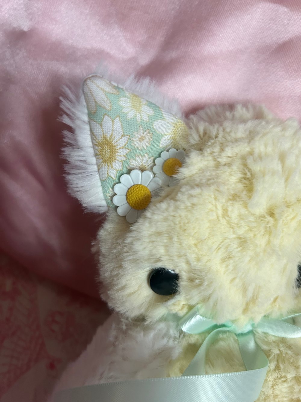 Image of daisy the kitty