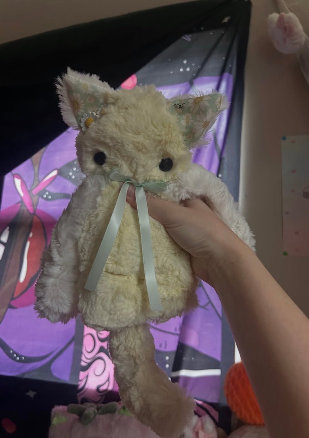 Image of daisy the kitty