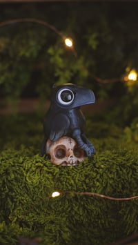 Image 5 of Crow on Skull