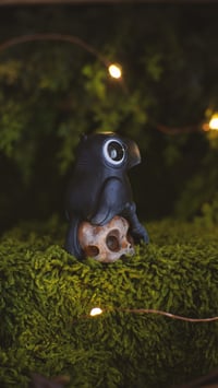Image 3 of Crow on Skull