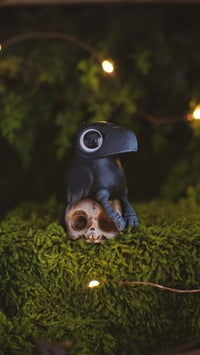 Image 1 of Crow on Skull
