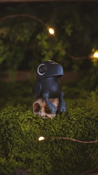 Image 2 of Crow on Skull