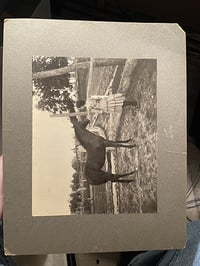 Image 5 of 1910's Horse Girl Photograph