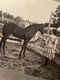 Image 1 of 1910's Horse Girl Photograph