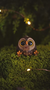 Image 2 of Owls