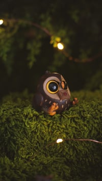 Image 3 of Owls