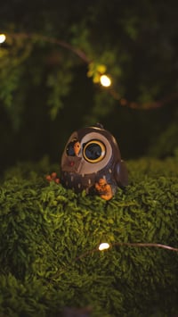 Image 4 of Owls