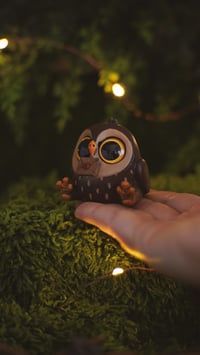 Image 1 of Owls