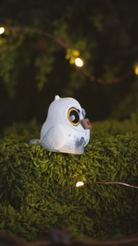 Image 4 of Hedwig