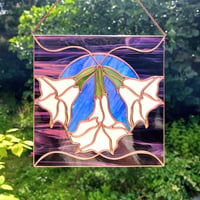 Image 2 of Datura - Le Sceau des songes
