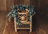 Image 3 of Double arrangement witj eucalyptus and flowers