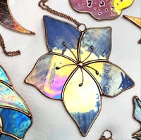 Image 1 of Fleur de Mandragore
