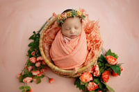 Image 4 of Newborn Session Retainer