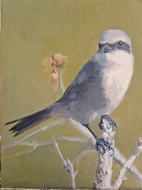 Image 1 of The Butcher Bird