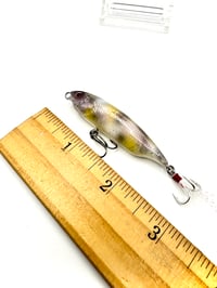Image 5 of Twitch bait (BFS) Pearl Baby Koi 60mm