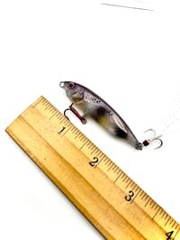 Image 5 of Twitch Bait (BFS) Dark Pearl Baby Koi 60mm