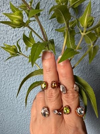 Image 1 of SUNLIGHT open front rings, size 6