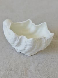 Image 3 of Vintage English Seashell Ring Dish