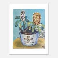 Image 1 of Art Print 'Tawny Banksia'