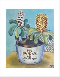 Image 2 of Art Print 'Tawny Banksia'