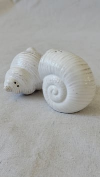 Image 2 of Seashell Salt & Pepper Shakers