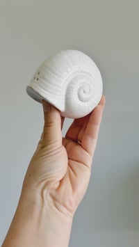 Image 3 of Seashell Salt & Pepper Shakers