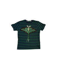 Luna Moth (Small)