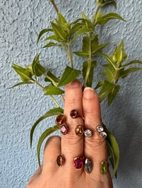 Image 1 of SUNLIGHT open front rings, size 7