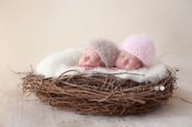 Image of Newborn Hat - Fuzzy bunny