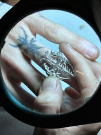 Image 4 of DUCTILE SPINE