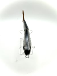 Image 3 of Glide Bait 5 inch shad 1.1
