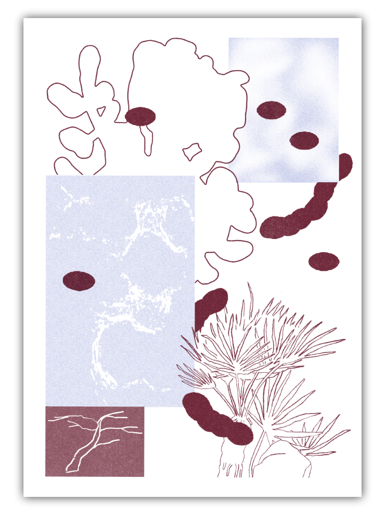 Image of w1nd∞w4ter