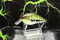 Image 1 of Squarebill LC 2.5 Crankbait  3783