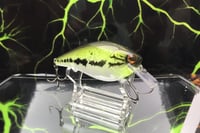Image 3 of Squarebill LC 2.5 Crankbait  3783