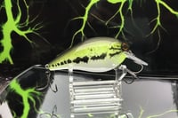 Image 4 of Squarebill LC 2.5 Crankbait  3783