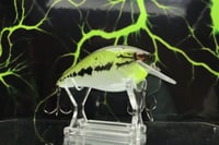 Image 2 of Squarebill LC 2.5 Crankbait  3783