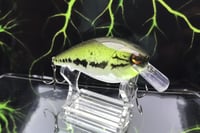 Image 5 of Squarebill LC 2.5 Crankbait  3783