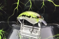 Image 1 of Evoked Crankbait 3804
